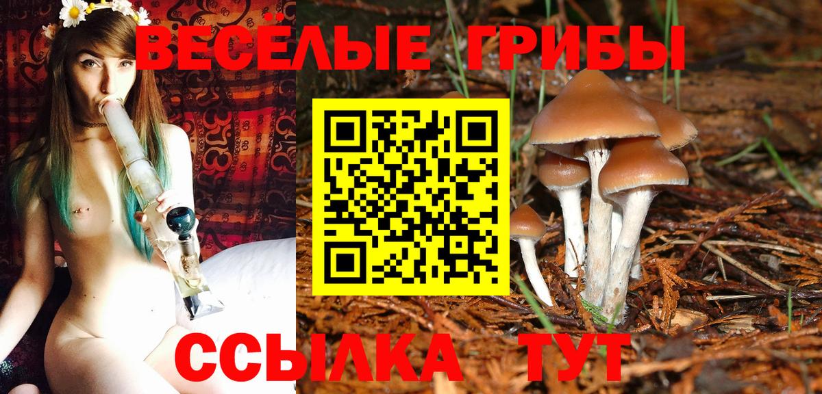 Псилоцибиновые грибы мицелий  Вход с VPN  закладки  Псилоцибиновые грибы ЛСД  Каспийск 