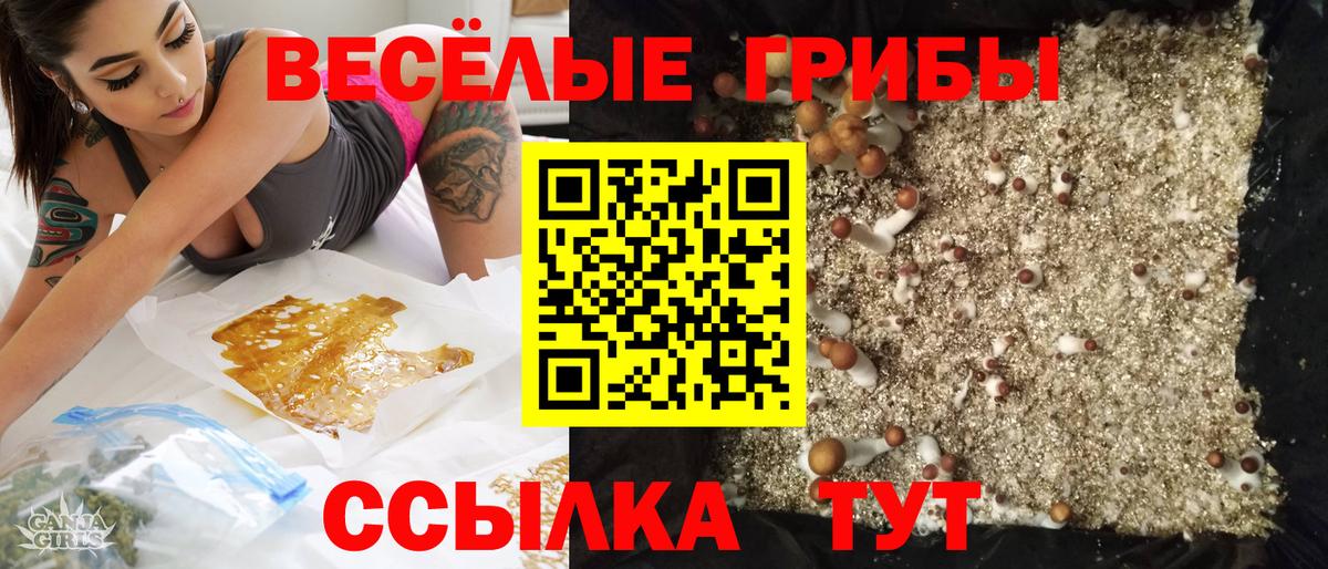 Галлюциногенные грибы ЛСД Каспийск